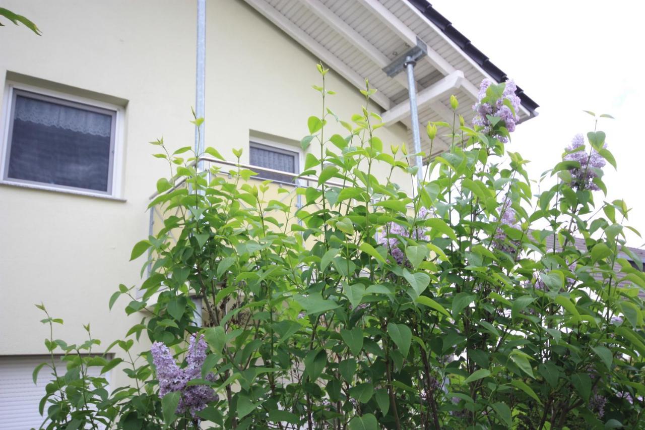 Windjammer Apartment Koserow